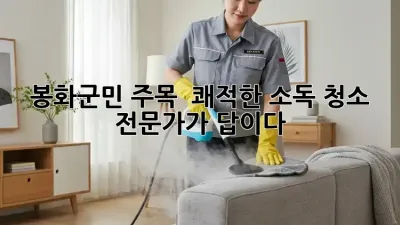 봉화군민 주목! ✨ 쾌적한 소독 청소, 전문가가 답이다! 🏡