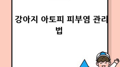 우리 댕댕이 💪 면역력 UP! 스트레스 OUT! 🐶꿀팁 대방출