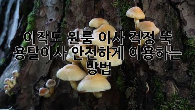 이작도 원룸 이사? 걱정 뚝! 용달이사 안전하게 이용하는 방법